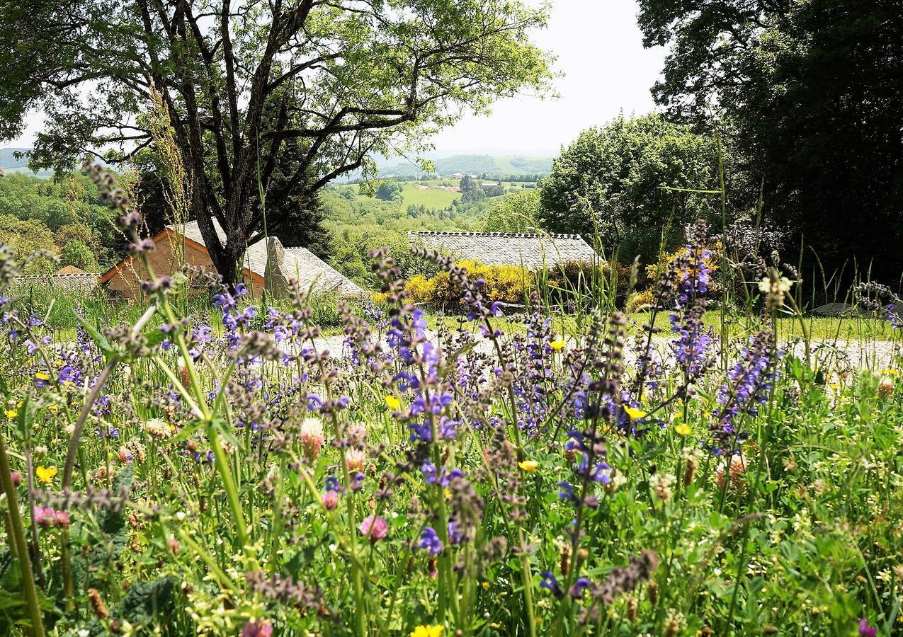 Domaine Des Marequiers Chambre Pimprenelle Saint-Germain-du-Teil Kültér fotó