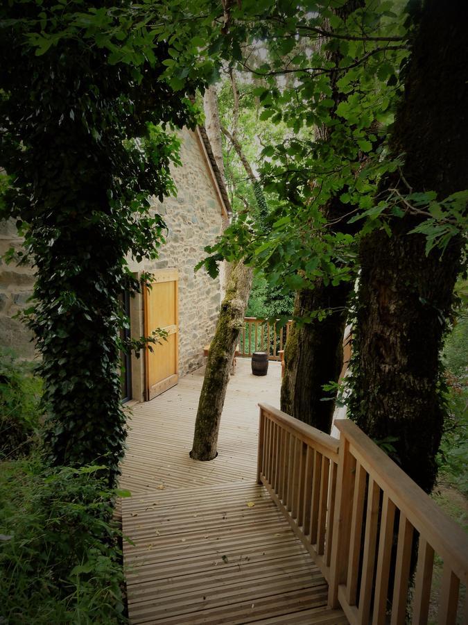 Domaine Des Marequiers Chambre Pimprenelle Saint-Germain-du-Teil Kültér fotó