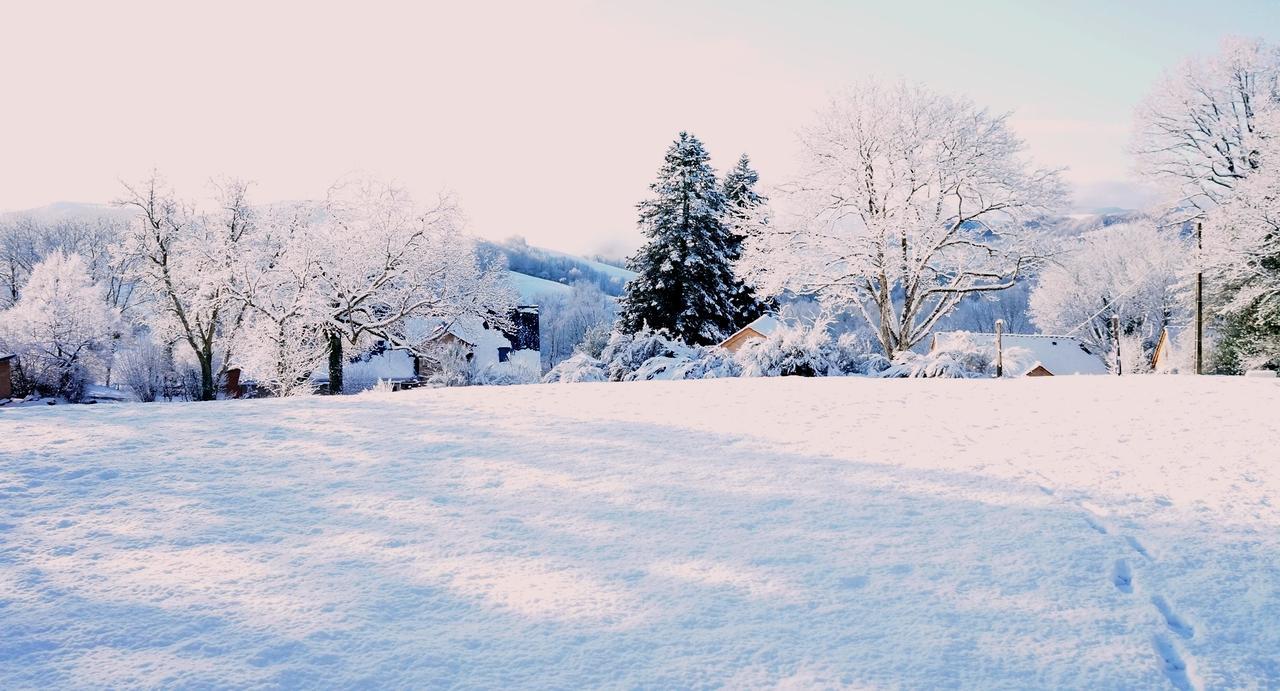 Domaine Des Marequiers Chambre Pimprenelle Saint-Germain-du-Teil Kültér fotó