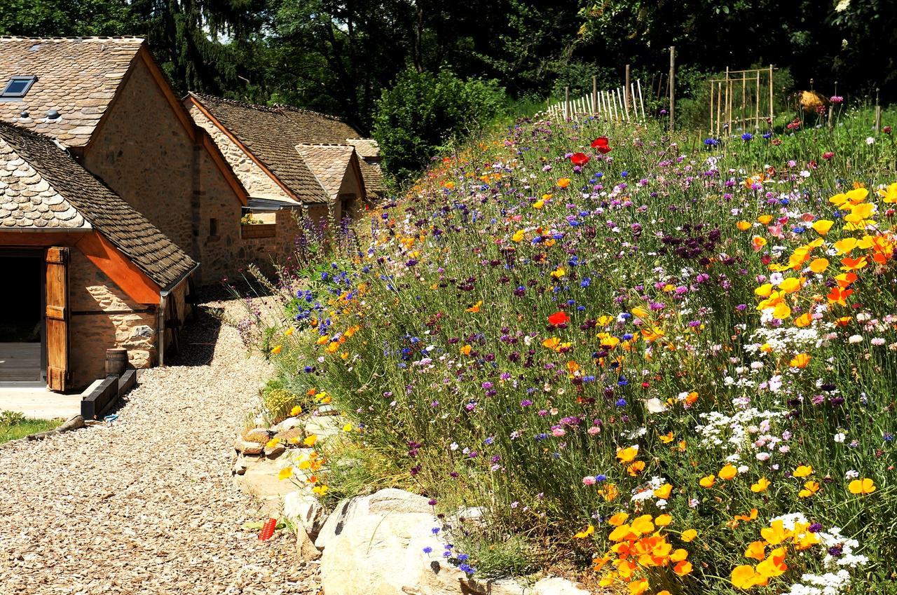 Domaine Des Marequiers Chambre Pimprenelle Saint-Germain-du-Teil Kültér fotó