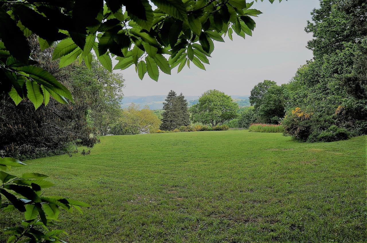 Domaine Des Marequiers Chambre Pimprenelle Saint-Germain-du-Teil Kültér fotó
